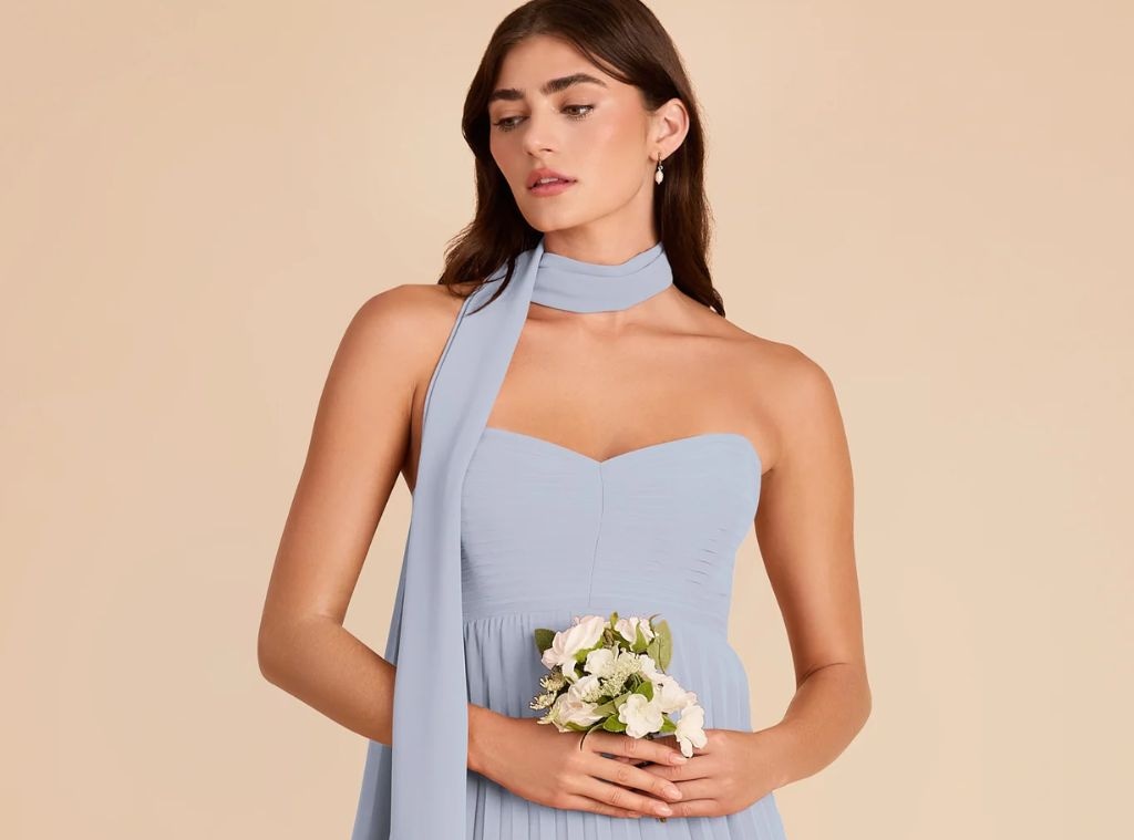 E! Online article about Birdy Grey wedding guest dresses